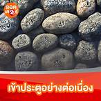 เลขล่าสุด